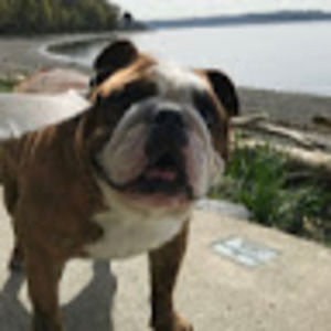 Meet your Posher, Jillian